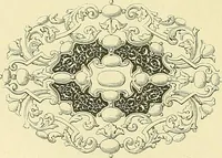 Picture 12 of 254 from Gazette des beaux-arts (1859), leaf 38