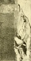 An illustration from Gazette des beaux-arts (1859)
