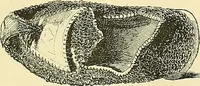 An illustration from Gazette des beaux-arts (1859)