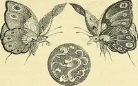 Picture 34 of 254 from Gazette des beaux-arts (1859), leaf 77