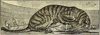 An illustration from Gazette des beaux-arts (1859)