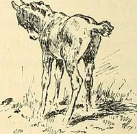 An illustration from Gazette des beaux-arts (1859)