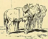 An illustration from Gazette des beaux-arts (1859)