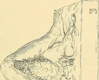 An illustration from Gazette des beaux-arts (1859)
