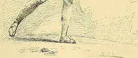 An illustration from Gazette des beaux-arts (1859)