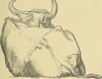 An illustration from Gazette des beaux-arts (1859)