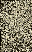Picture 105 of 207 from Gazette des beaux-arts (1859), leaf 301