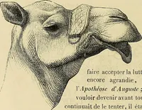 Picture 123 of 207 from Gazette des beaux-arts (1859), leaf 360