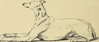 An illustration from Gazette des beaux-arts (1859)
