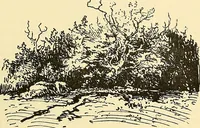 An illustration from Gazette des beaux-arts (1859)