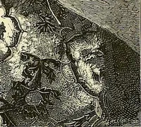Picture 218 of 265 from Gazette des beaux-arts (1859), leaf 528
