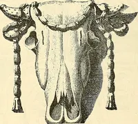 An illustration from Gazette des beaux-arts (1859)