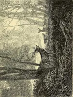An illustration from Gazette des beaux-arts (1859)