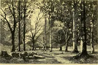 An illustration from Gazette des beaux-arts (1859)