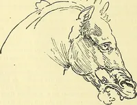 An illustration from Gazette des beaux-arts (1859)