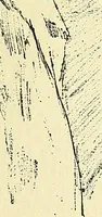 An illustration from Gazette des beaux-arts (1859)