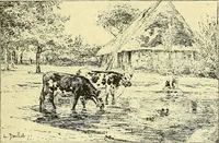 Picture 27 of 234 from Gazette des beaux-arts (1859), leaf 71