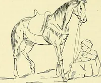 Picture 37 of 255 from Gazette des beaux-arts (1859), leaf 105