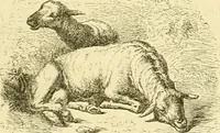 An illustration from Gazette des beaux-arts (1859)
