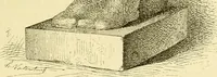 An illustration from Gazette des beaux-arts (1859)