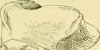 An illustration from Gazette des beaux-arts (1859)