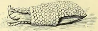 An illustration from Gazette des beaux-arts (1859)