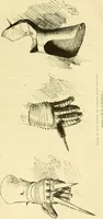 An illustration from Gazette des beaux-arts (1859)