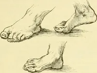 An illustration from Gazette des beaux-arts (1859)