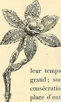 Picture 113 of 482 from Gazette des beaux-arts (1859), leaf 268