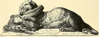 An illustration from Gazette des beaux-arts (1859)