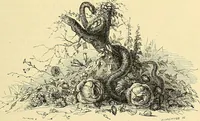 An illustration from Gazette des beaux-arts (1859)