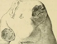 An illustration from Gazette des beaux-arts (1859)