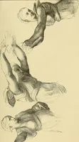 An illustration from Gazette des beaux-arts (1859)