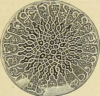An illustration from Gazette des beaux-arts (1859)