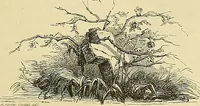 An illustration from Gazette des beaux-arts (1859)