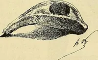 An illustration from Gazette des beaux-arts (1859)