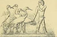 An illustration from Gazette des beaux-arts (1859)