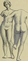 An illustration from Gazette des beaux-arts (1859)