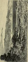 An illustration from Gazette des beaux-arts (1859)