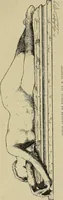 An illustration from Gazette des beaux-arts (1859)