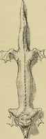 Picture 106 of 210 from Gazette des beaux-arts (1859), leaf 293