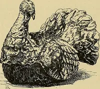 An illustration from Gazette des beaux-arts (1859)