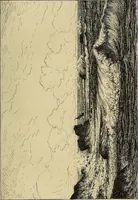 Picture 24 of 210 from Gazette des beaux-arts (1859), leaf 77