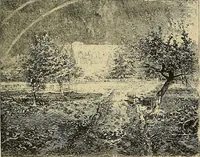 An illustration from Gazette des beaux-arts (1859)