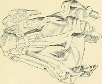 An illustration from Gazette des beaux-arts (1859)