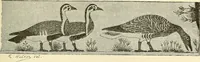 An illustration from Gazette des beaux-arts (1859)