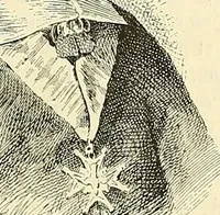 An illustration from Gazette des beaux-arts (1859)