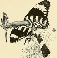 An illustration from Gazette des beaux-arts (1859)