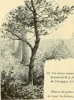 An illustration from Gazette des beaux-arts (1859)