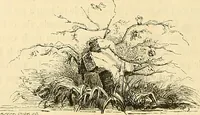 Picture 66 of 250 from Gazette des beaux-arts (1859), leaf 146